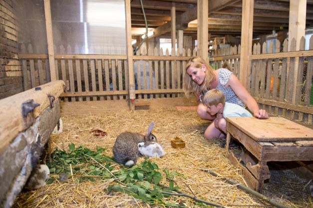Besuch bei Kaninchen