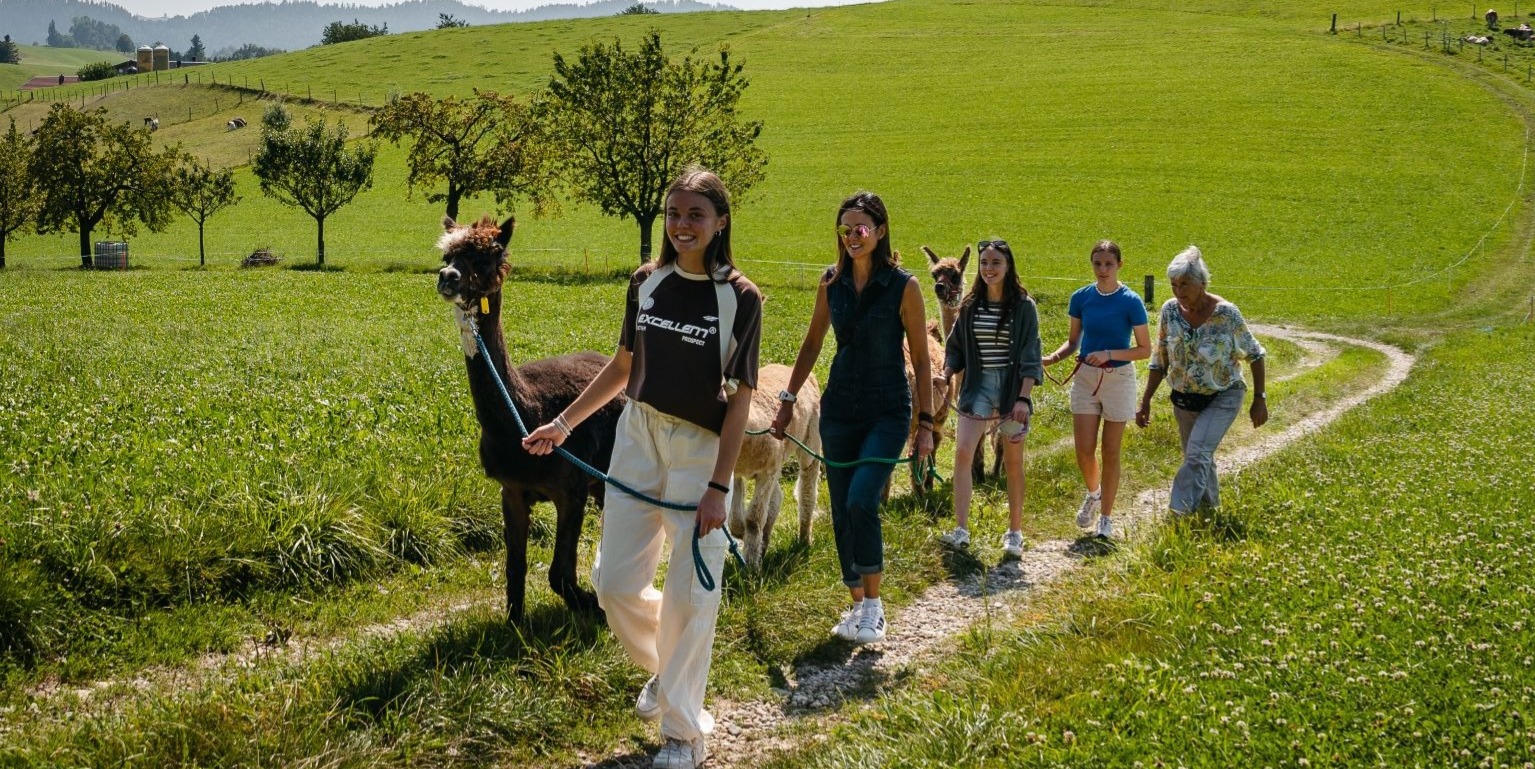 Lamawanderung Sommer